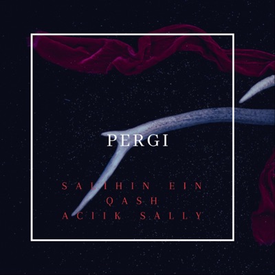 Pergi (feat. Qash & AciikSally) - Single