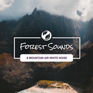 Forest Sounds & Mountain Air White Noise - EP