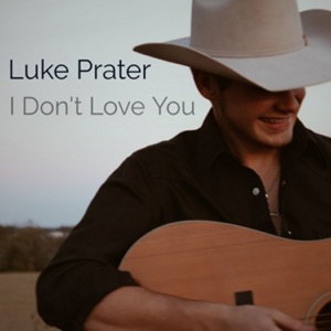 I Don't Love You - Single