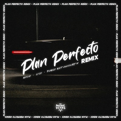PLAN PERFECTO (Remix) - Single