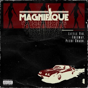 Magnifique - Single