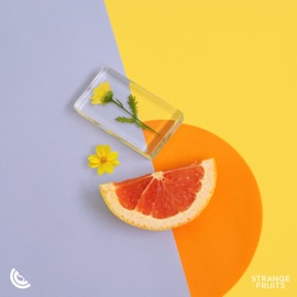 I Just Died In Your Arms Tonight (feat. Andros) Fallen Roses, Mr. Pig & Lunis