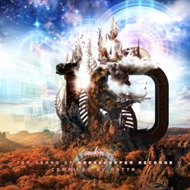 Matrix Evolution Space Vision