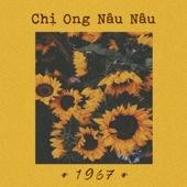 Chị Ong Nâu Nâu (Lofi) artwork