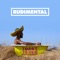 Dark Clouds (feat. Jess Glynne & Chronixx) - Rudimental lyrics