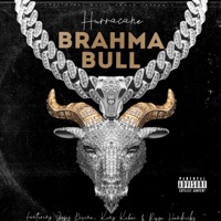 Brahma Bull (feat. Jesus Divine, Ryze Hendricks & King Kihei) - Single - Smartalec On The Track & Hurracane