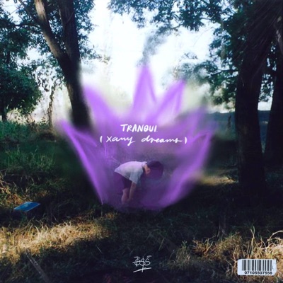 Tranqui (Xani Dreams) - Single