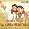 Mickey J Meyer & S. P. Balasubrahmanyam - Kalyanam Vybhogam (From