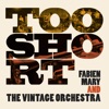 Fabien Mary & Vintage Orchestra
