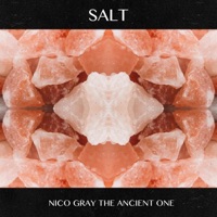 Salt - Single - Nico Gray the Ancient One