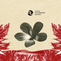Saturation (Radio Edit) - Single - Luis Miranda