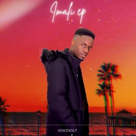 Iss Too Much (feat. Stev'La, Jay Swagg & Quayr Musiq) Voicevolt