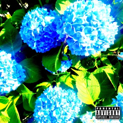 Caught Up (feat. Namialus Validity) - Single