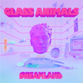 Heat Waves - Glass Animals Cover Art