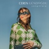 Ceren Gündoğdu - Yangınlara