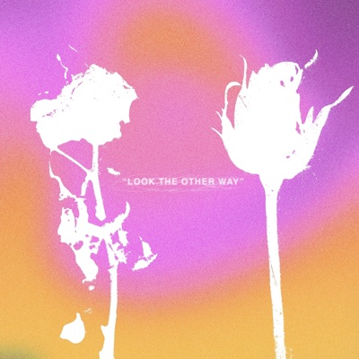 Look the Other Way - Single