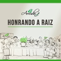 Honrando a Raiz - Single - Arruda