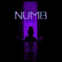 Numb - Single - RYLEY