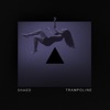 Trampoline by SHAED iTunes Track 3