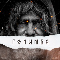 ГОЛЫМБА - Single - BIDJO & PVSTO