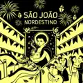 XOTE DAS MENINAS