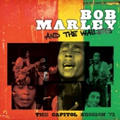 Bob Marley & The Wailers - Get Up Stand Up (Live)