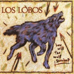 Los Lobos - I Got Loaded