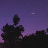 Moonlight - Single - Kaidon Roddy