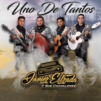Uno De Tantos - Javier Estrada y Sus Chavalones