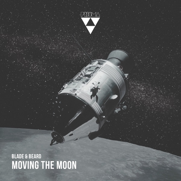 Moving the Moon - Single