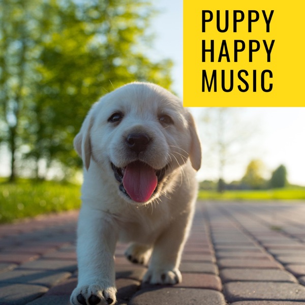 Puppy Happy Music