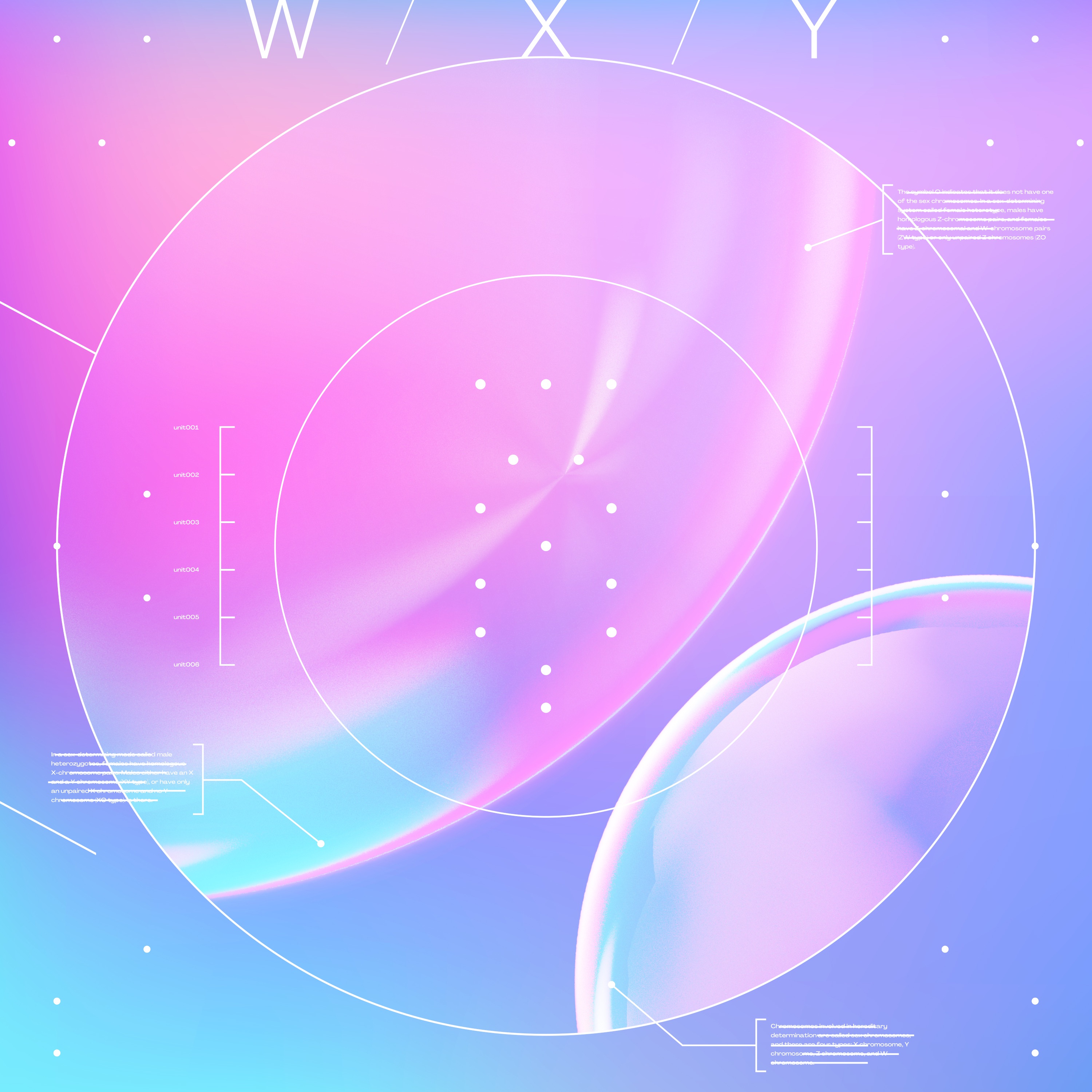 GRAVITY