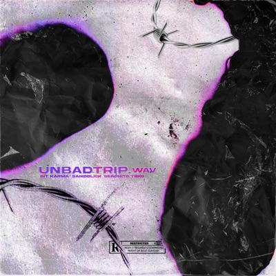 Unbadtrip.wav - Single