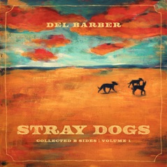 Stray Dogs (Collected B-Sides / Vol. 1)