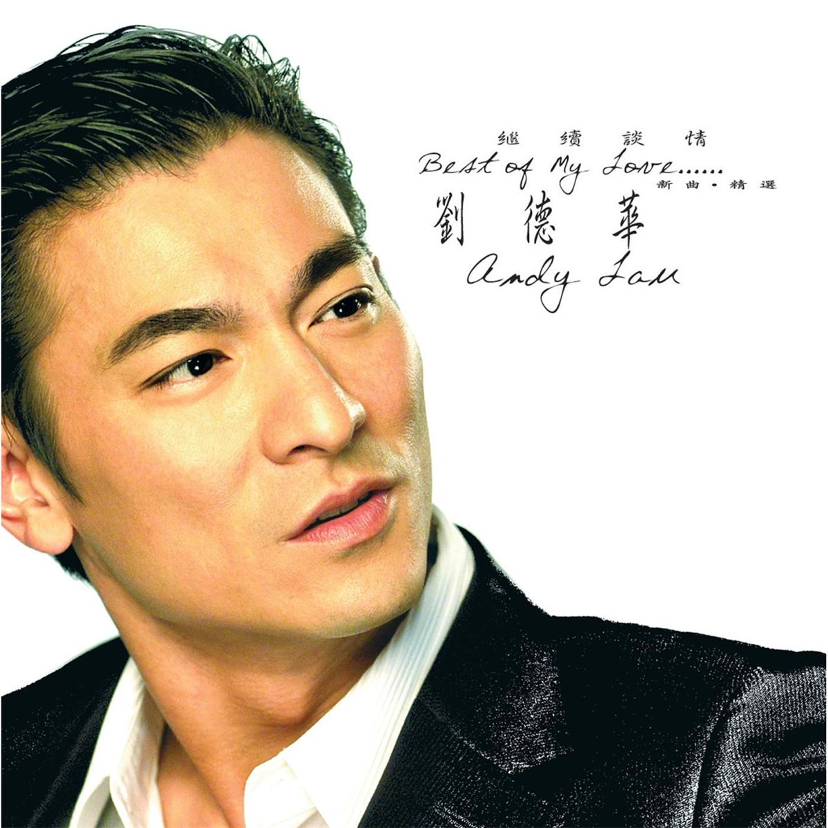 Andy Lau Yi Qi Zou Guo De Ri Zi Lyrics