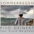 Sommerregen (Radio Edit)