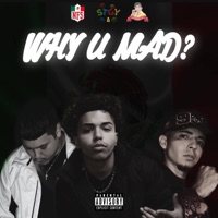Why U Mad? (feat. Jumex Palmas & NFS JayAre) - Single - Siah Youngin'