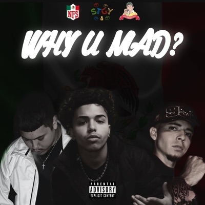 Why U Mad? (feat. Jumex Palmas & NFS JayAre) - Single
