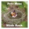 Oriole - Pete Moss lyrics