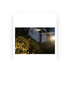 brdynl सुनें, म्यूज़िक वीडियो देखें, बायो पढ़ें, दौरे की तारीखें और बहुत कुछ देखें!