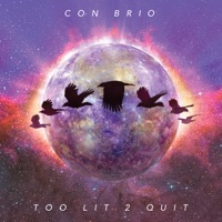 Too Lit 2 Quit - Single - Con Brio