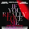 David Guetta, MistaJam & John Newman - If You Really Love Me (How Will I Know)