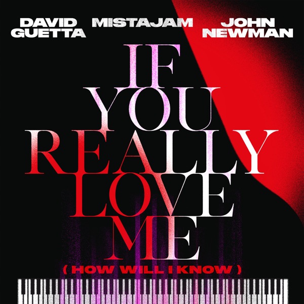 David Guetta, MistaJam & John Newman If You Really Love Me (How Will I Know)