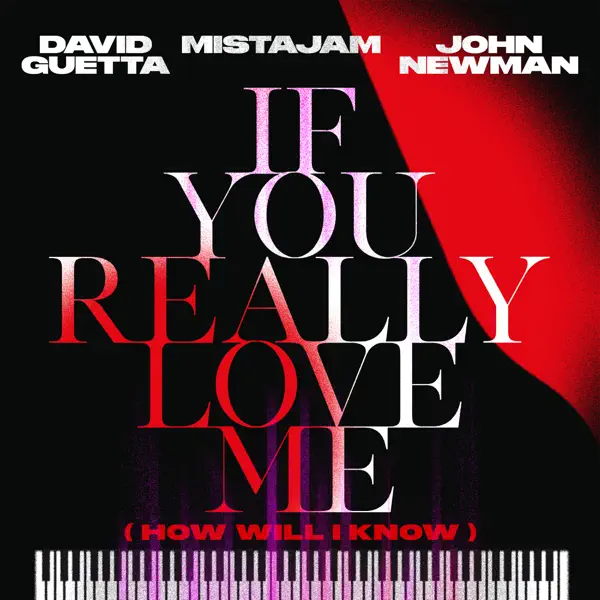 If You Really Love Me (How Will I Know) — David Guetta, MistaJam & John Newman