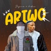 Ariwo (feat. Kabex) - Single