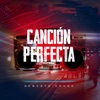 Canción Perfecta - Single