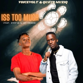 Iss Too Much (feat. Stev'La, Quayr Musiq & Jay Swagg) Voicevolt