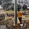 T.D.G.F - Helcy M lyrics