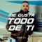 Me Gusta Todo De Ti - Frae DJ lyrics