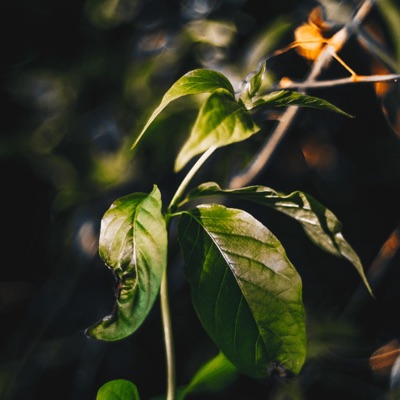 Sketches of Space - EP